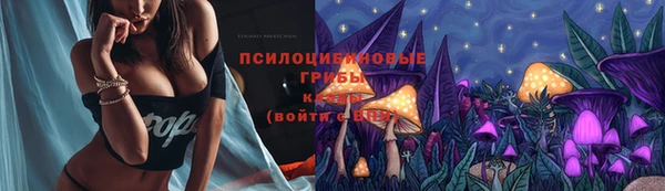 а пвп мука Алексеевка